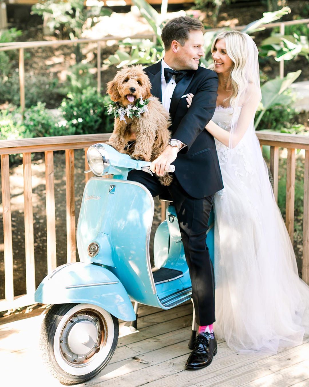 Dog at wedding photoshoot