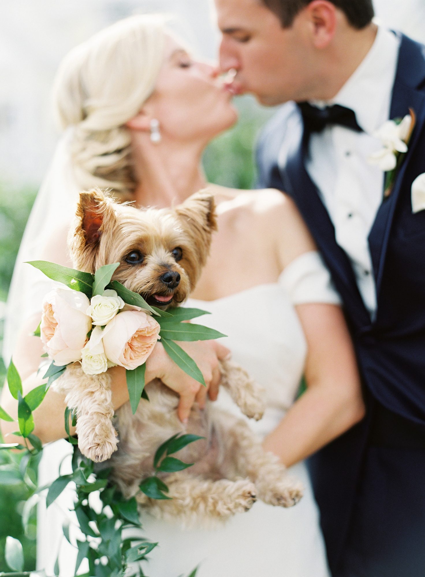 Dog with bride and groom
